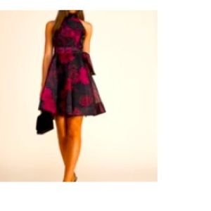 Printed Organza Mini Fit & Flare dress
